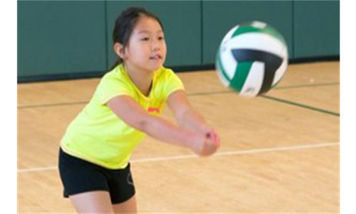 Spring Volleyball Programs