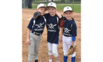 Spring Baseball Leagues